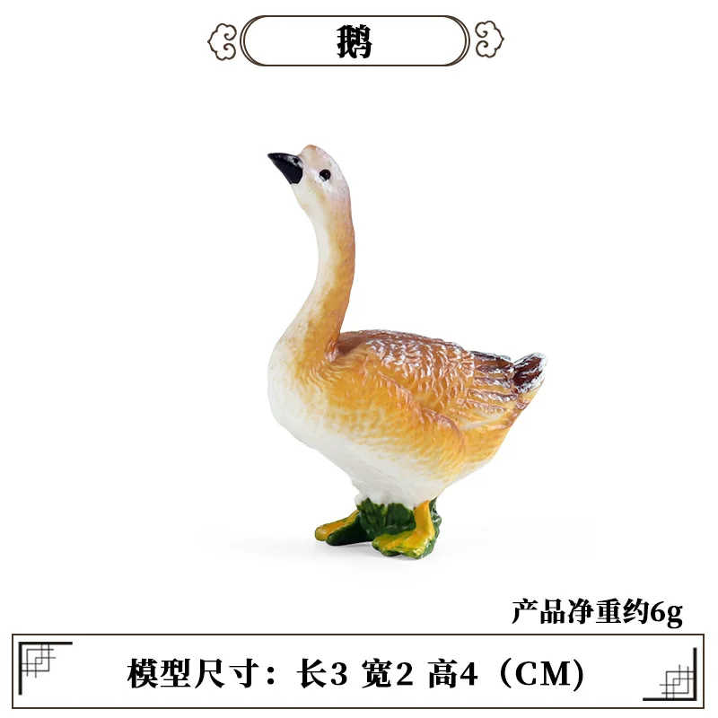 Science Toy - Education Teaching Tool Poultry Animal Mini