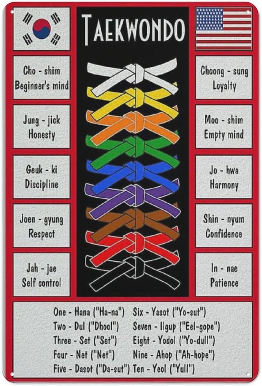 Taekwondo Knowledge Metal Sign - огляд і ціна Science Hobbyist
