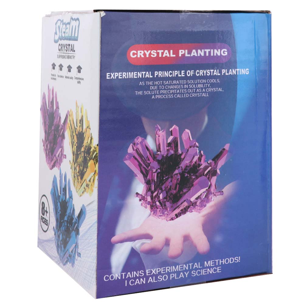 Grow a Crystal Crystal Growing - огляд і ціна Science Project Diy