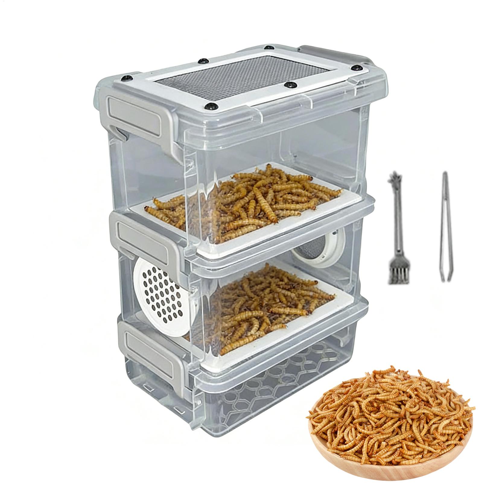 Mealworm Breeding Kit 3-Layer  - огляд і ціна Science Hobbyist
