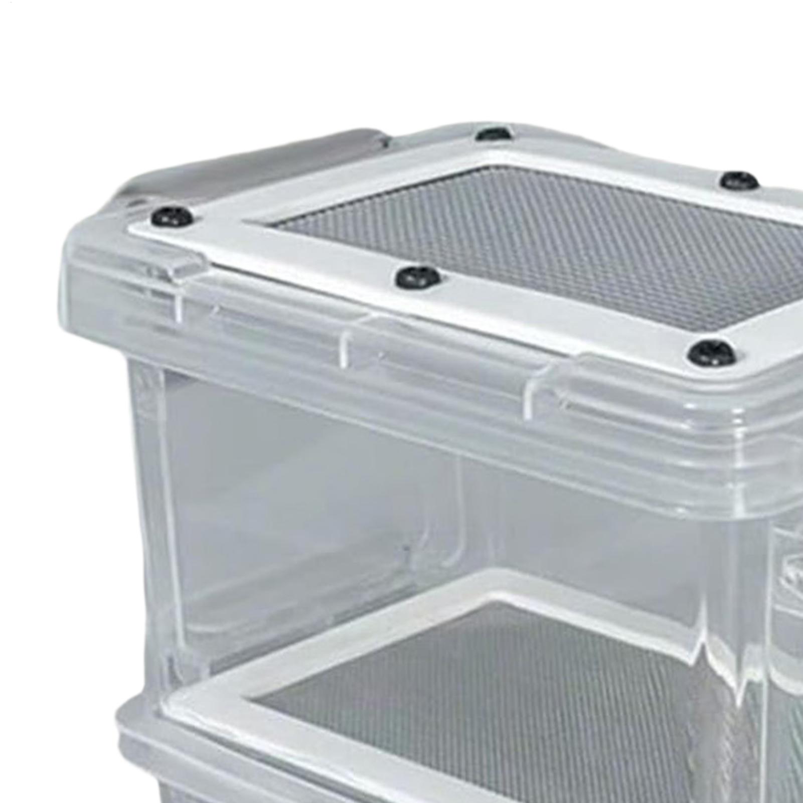 Mealworm Breeding Kit 3-Layer  - огляд і ціна Science Hobbyist