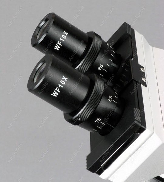 AmScope B100 Series Biological - огляд і ціна Amscope Microscope Compound 40X-1000X