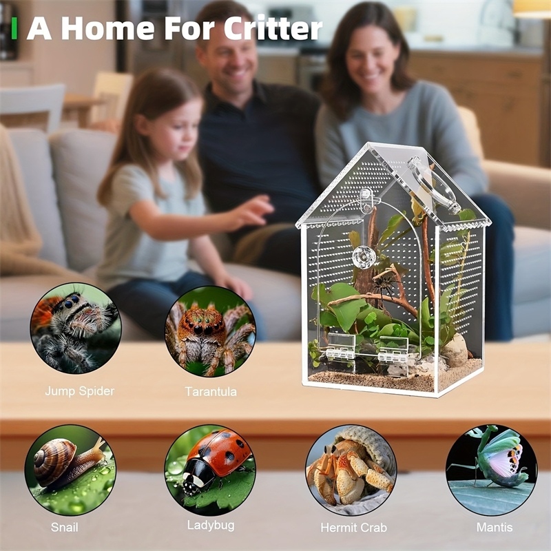 Transparent Acrylic House Inse - огляд і ціна Science Hobbyist