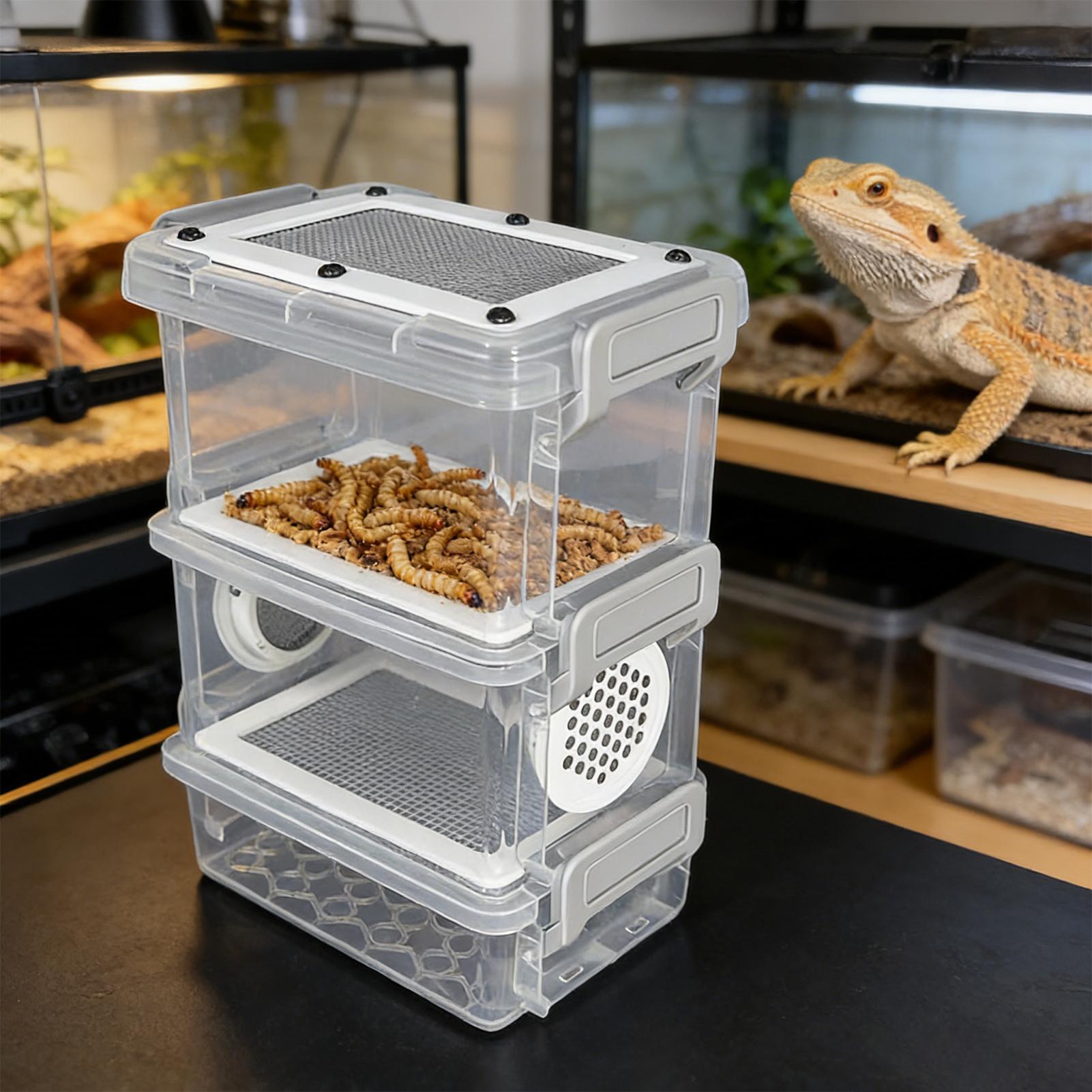 3-Layer Silkworm Feeder Bin Co - огляд і ціна Science Hobbyist