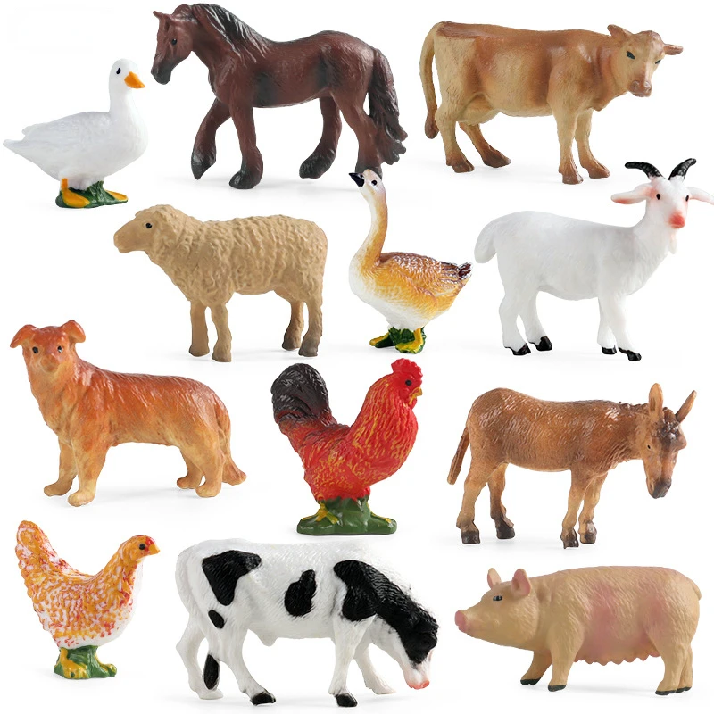 Education Teaching Tool Poultr - огляд і ціна Science Toy